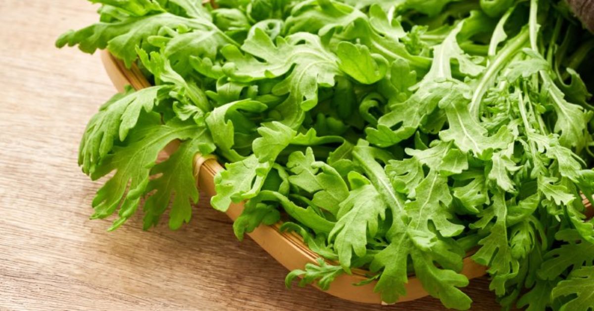 茼蒿被日本稱為「食物中的感冒藥」！防動脈硬化、維持皮膚健康... 茼蒿 4 大功效、挑選技巧一次看