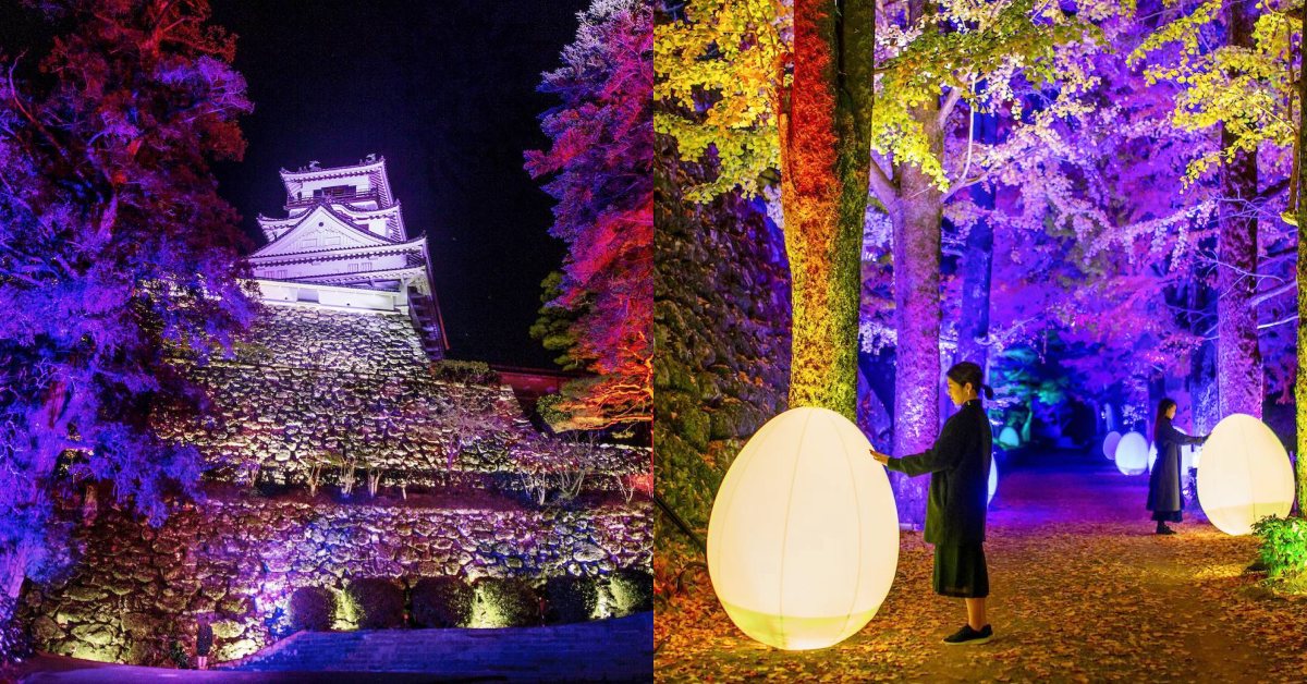 teamLab又來了！「高知城光之祭」400年古蹟變不夜城，老牆、古徑一秒成魔幻畫布
