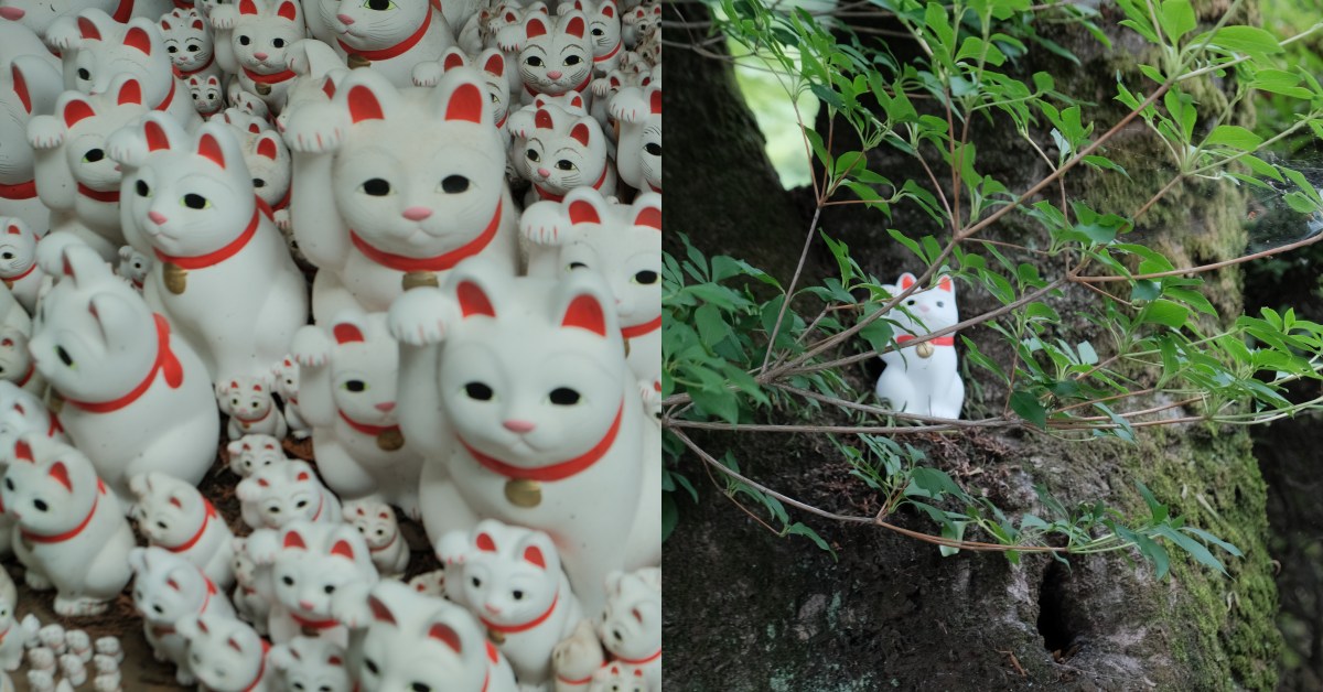 【Bella出國去】東京熱門景點「豪德寺」怎麼去？超過千隻“招財貓”藏身在此，原因竟跟報恩有關？
