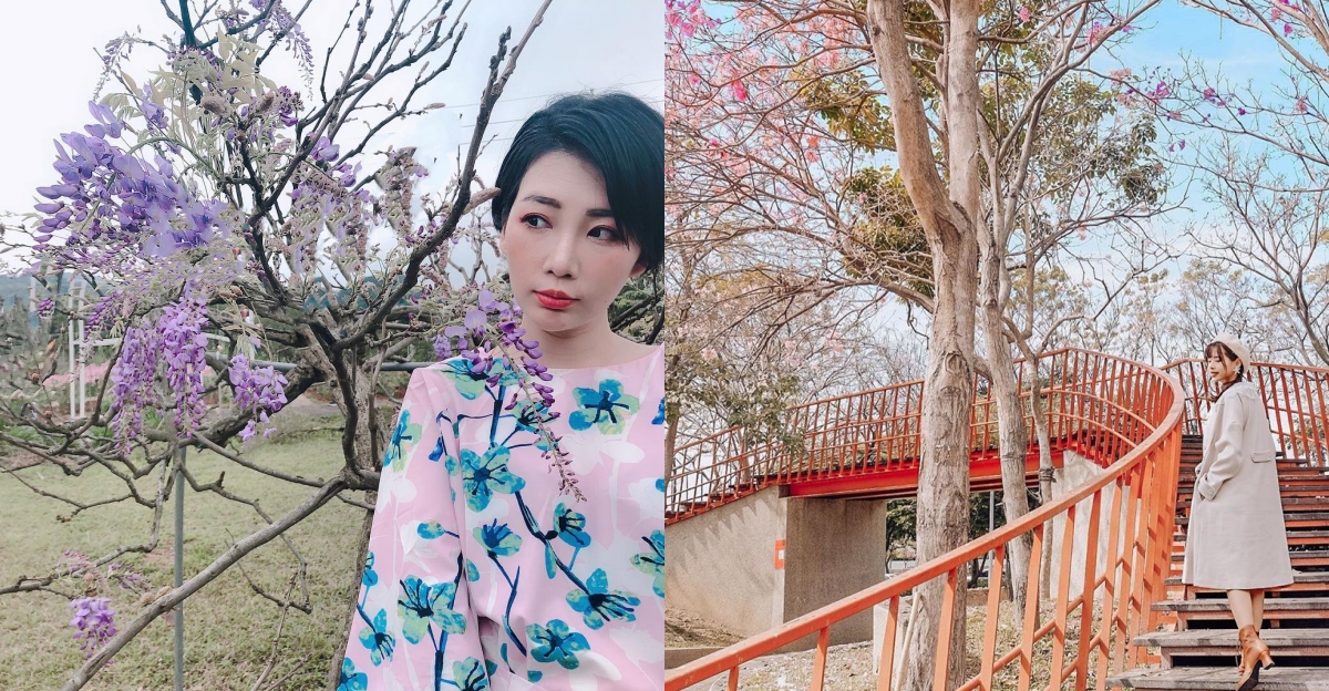 網羅全台「洋紅風鈴木」景點整理，洗版IG粉紅棉花糖3大景點就在這