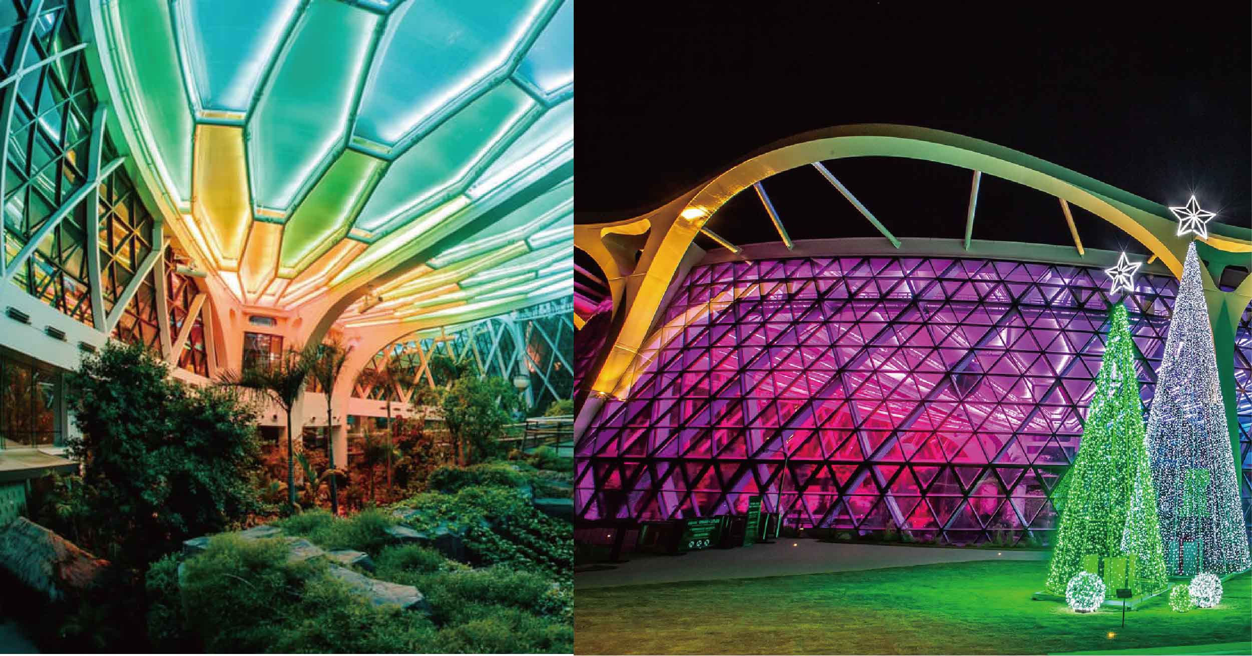 韓國首爾最大「玻璃植物園」夜晚更迷人！8月開始參觀，進入256色LED燈魔幻世界