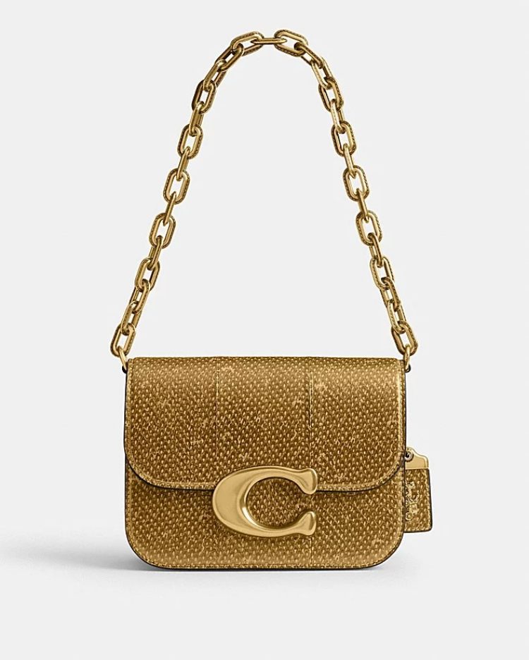 2025春夏「金色包包」推薦7款：Celine蛇紋皮革高級感十足，Loewe「Puzzle」簡約又貴氣！