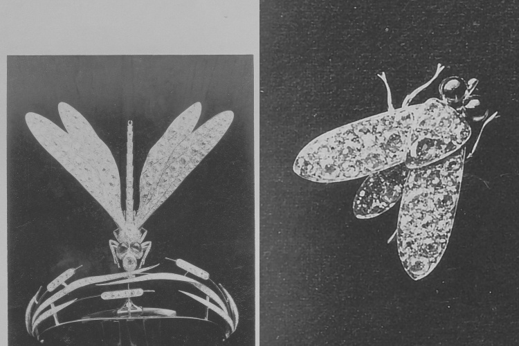 Boucheron 2025高級珠寶系列彷彿「生物百科」！常見植物花卉不夠看，蒼蠅、飛蛾也能載身上！