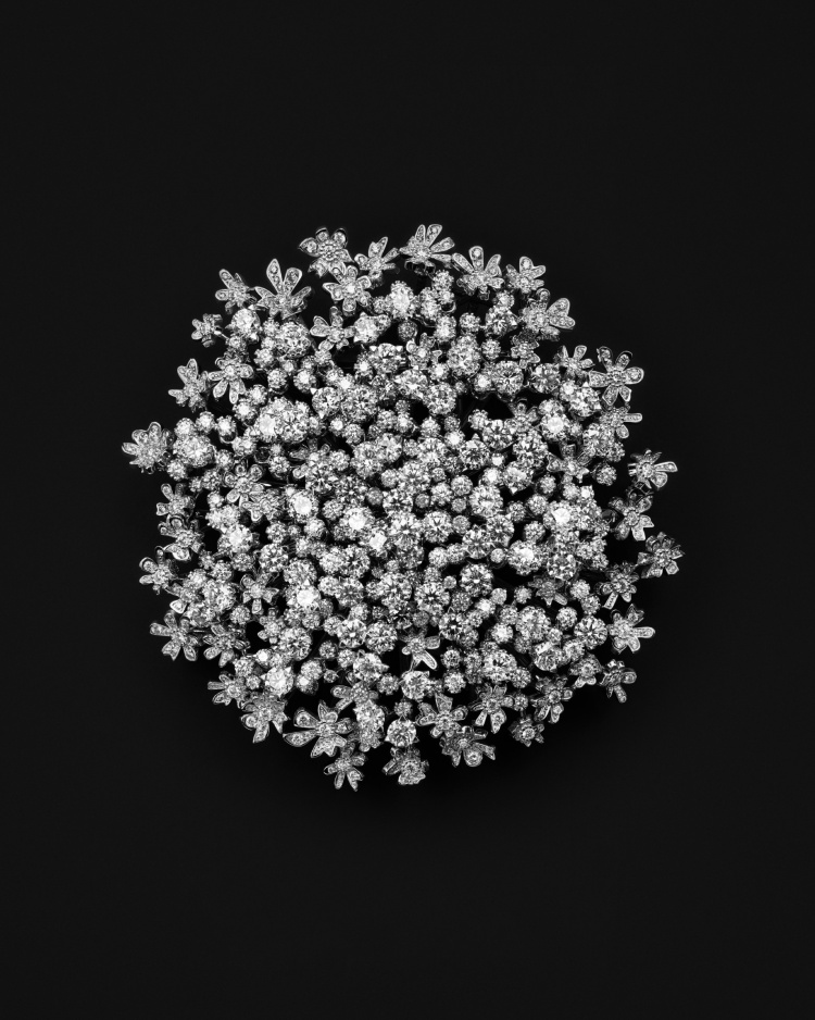 Boucheron 2025高級珠寶系列彷彿「生物百科」！常見植物花卉不夠看，蒼蠅、飛蛾也能載身上！