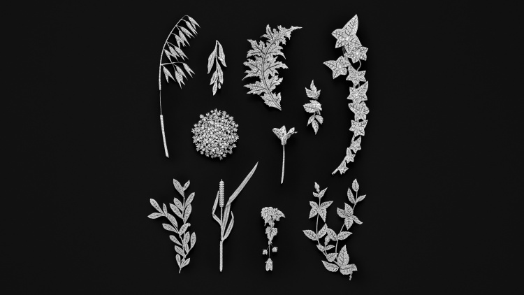 Boucheron 2025高級珠寶系列彷彿「生物百科」！常見植物花卉不夠看，蒼蠅、飛蛾也能載身上！
