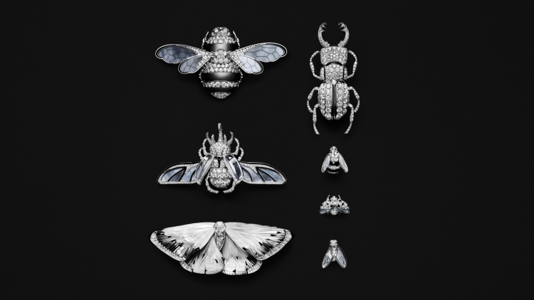 Boucheron 2025高級珠寶系列彷彿「生物百科」！常見植物花卉不夠看，蒼蠅、飛蛾也能載身上！