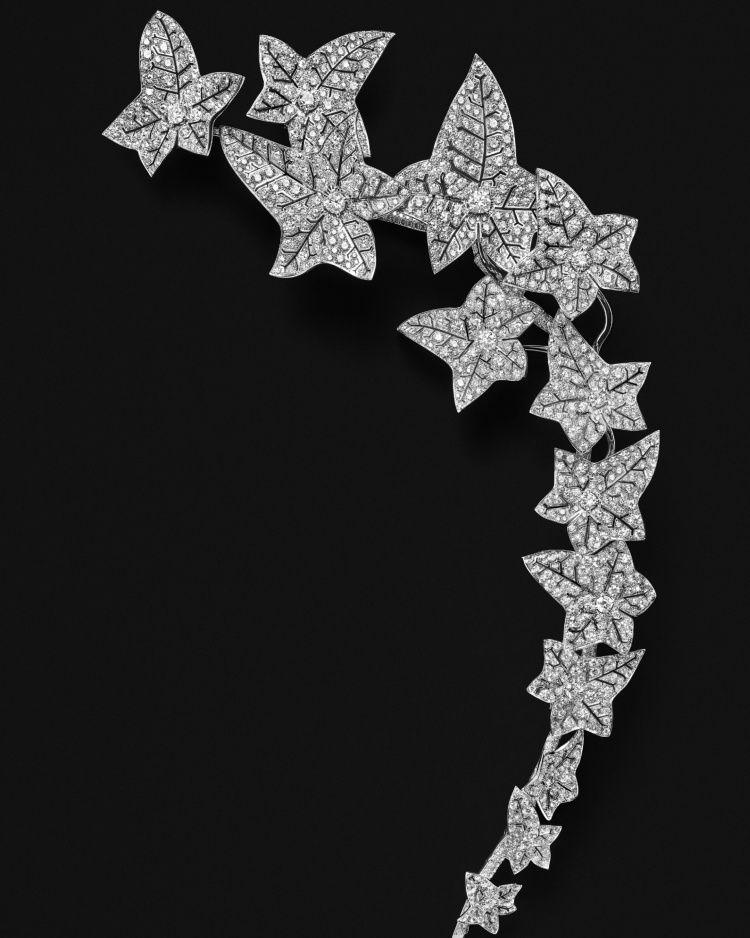 Boucheron 2025高級珠寶系列彷彿「生物百科」！常見植物花卉不夠看，蒼蠅、飛蛾也能載身上！