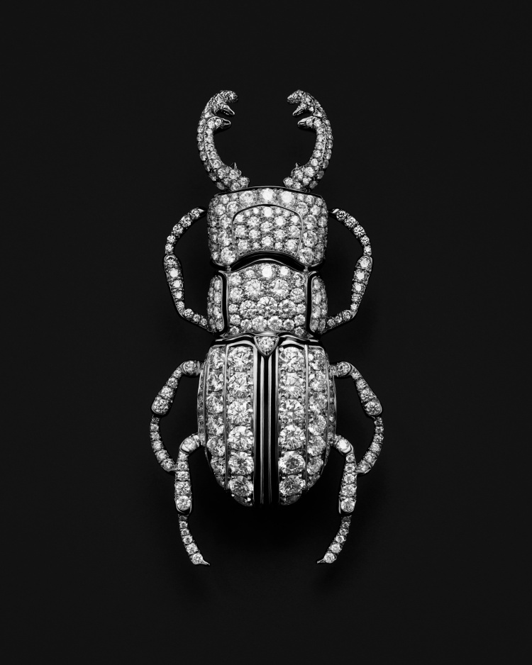 Boucheron 2025高級珠寶系列彷彿「生物百科」！常見植物花卉不夠看，蒼蠅、飛蛾也能載身上！