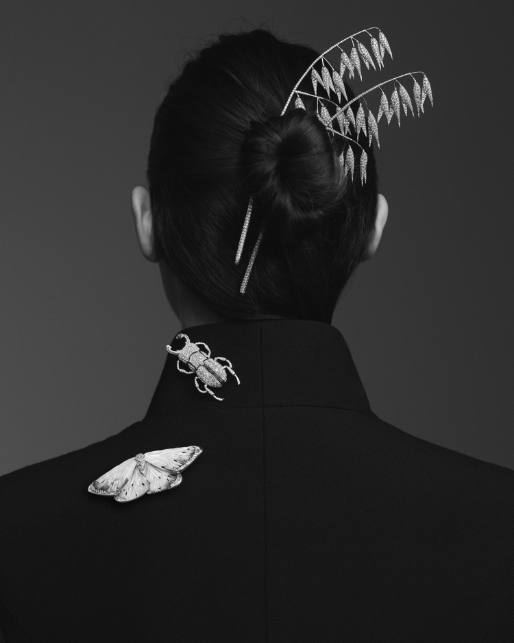 Boucheron 2025高級珠寶系列彷彿「生物百科」！常見植物花卉不夠看，蒼蠅、飛蛾也能載身上！