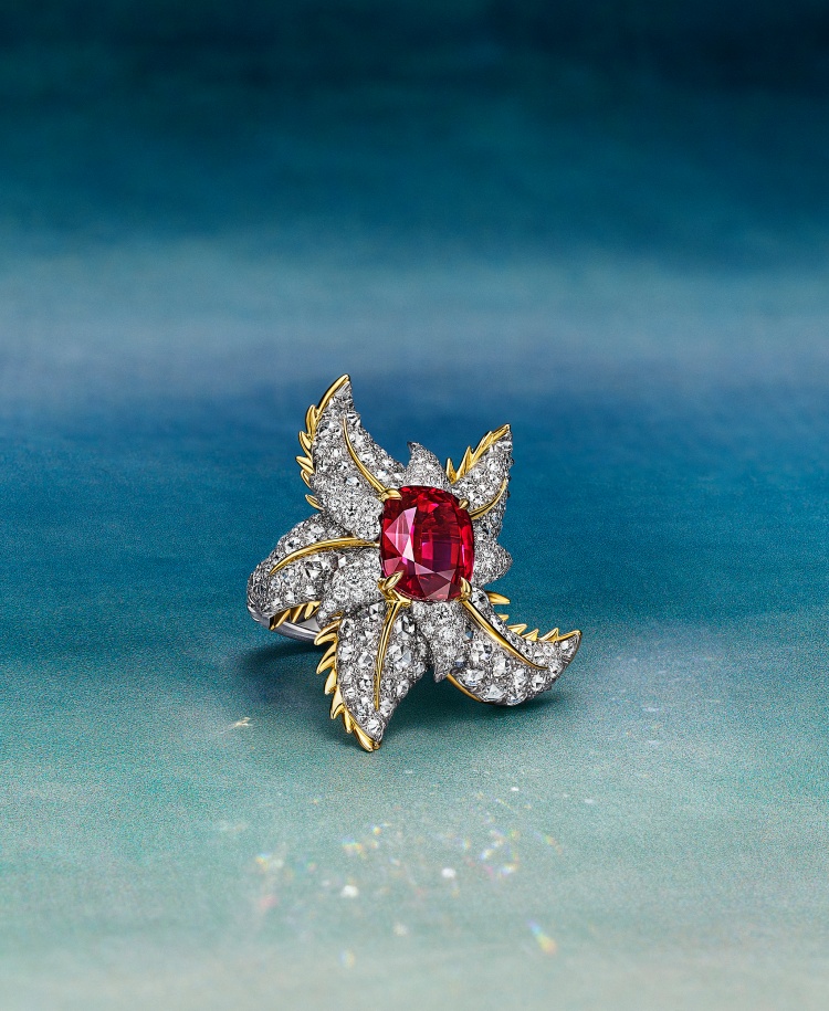 Tiffany 2025高級珠寶化身最強寶石專家！購入超稀有7500克拉粉紅寶、天然祖母綠，呈獻海底珠寶盒
