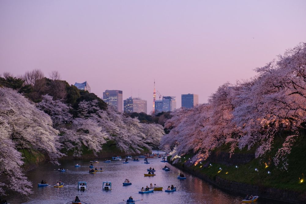 第三名，由日本東京拿下，主要原因在於，日本人的公共意識和衛生習慣良好，居民都會主動地維護公共場所的整潔。