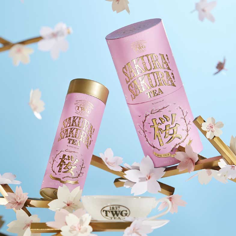 TWG Tea 2024春季限定「櫻之頌！茗茶」浪漫登場！絕美日本櫻花